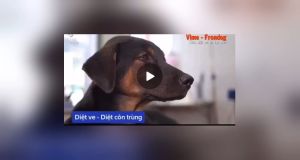 Vemedim Vime - Frondog 250ml | Xịt Ve Rận Bọ Chét Cho Chó Mèo Sát | Diệt | Khử Khuẩn Chuồng Trại | Nuôi