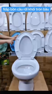 Nắp bồn cầu rơi êm phù hợp với bệ ngồi bồn cầu inax 504 cũ inax 108117306 mới