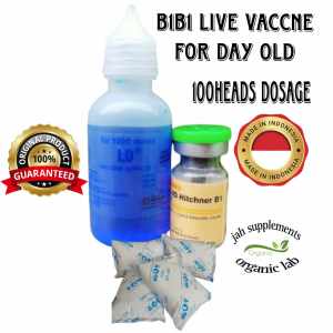 B1B1+IB live Vaccne for day old chicks 1000dose