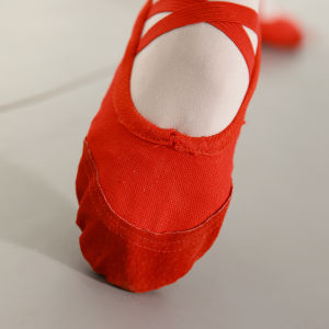 Womens Dance Shoes Soft Bottom Practice Shoes Pink Adult Childrens Cat Claw Technique Shoes Ballet Dancers Footwear