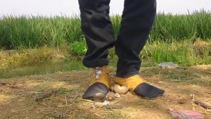 Sepatu Petani Tandur Pelindung Kaki Dari Keong