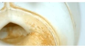 PUMICE TOILET BOWL CLEANER Cleaning Stone with Handle Bowl Ring Remover Sinks Bathtub Cleaner Brush Tools