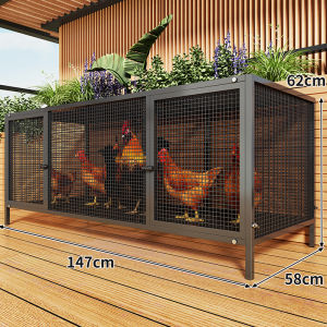 QINQI | Large Automatic Clean Feces Outdoor Chicken Coop Dense Net Design