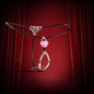 Customizable Women Chastity Belt Remote Unlock