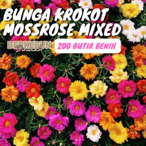 200 Benih Biji Moss Rose Mixed Bibit Krokot Portulaca grandiflora seeds