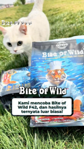 Bite of Wild 6Fish Cat Food 50g F42 Kibble Makanan Kucing With Freeze-Dried Raw Fish Meat / Salmon 42% High Meat Grain-Free kibbles Cat