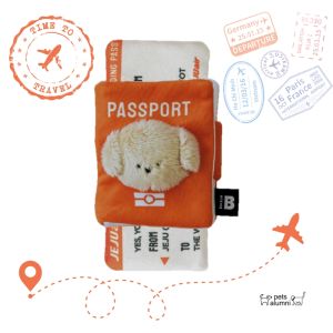 BiteMe Korea ของเล่นสุนัข รูปพาสพอร์ต นำเข้าจากเกาหลี บีบแล้วมีเสียง ของเล่นหมา โน้สเวิร์ค ซ่อนขนม