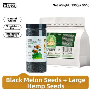 Yee | Training and Rewarding Parrot Food