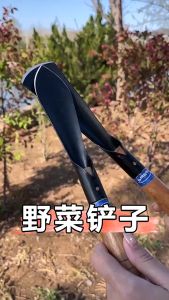 Small shovels small digging of wild vegetables shovels to catch the sea agricultural planting veg