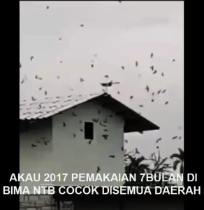 PANGGIL AKAU 2017 ASLI 100% ORIGINAL GARANSI RESMI 1TAHUN FLASHDISK