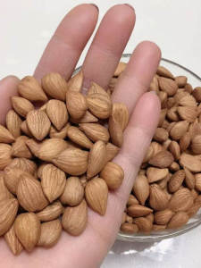 New Arrival  Large Unroasted Almonds Snack Original Flavor Bulk Packaged Nuts Healthy Snack from Hebei Province China