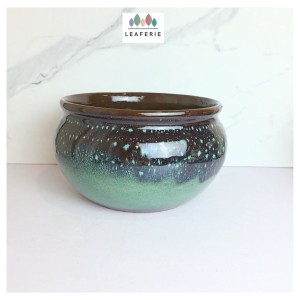 The Leaferie Acacia Fish bowl tank plant pots. flowerpot . flowerpots planters Ceramic no drainage