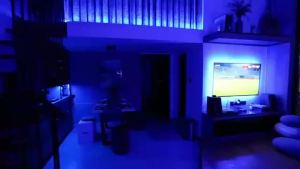 RGB LED Strip Lights with 20-Key Remote (Infrared)& Music Sync USB-Powered Cuttable Lighting for Bedroom Party Christmas