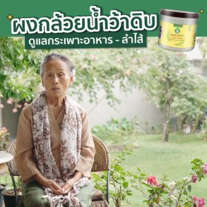 150 กรัม ของขนาดพิเศษ ผงกล้วยน้ำยาช้สำหรับรักษาแผล สกัดเสริมรูปลักษณ์ เพื่อให้อาหารอรหันต์ ของป้านิดดา สูงกว่า