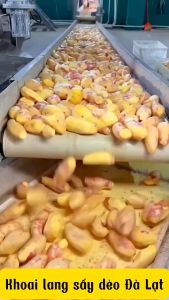 Khoai lang sấy dẻo nguyên củ giữ nguyên hương vị của khoai không chất phụ gia an toàn cho sức khoẻ