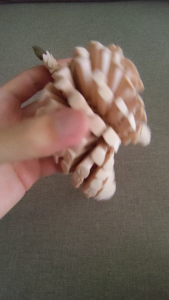PLE Pangolin Decompression Toy