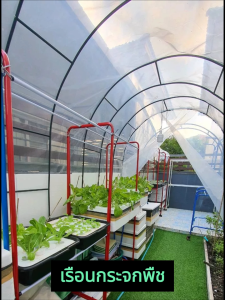 พลาสติกคลุมโรงเรือน UV7% พลาสติกคลุมโรง ปูบ่อ Green House ผ้ายางโรงเรือน ผ้ายางใสแบบหนา หนา100/150ไมครอน พลาสติกใส พลาสติกโรงเรือน ขนาด 3x5 4x5 3x10 4x10 5x7 5x10 พลาสติกโรงเรือน