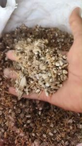 ปุ๋ยมูลนกกระทาแท้ ตากแห้ง เร่งดอก ดอกดก งามมาก 1ถุง 500 กรัม