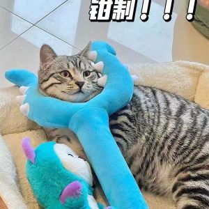 Đồ Chơi Lông Mèo Dài Tương Tác Chống Cắn Dụng Cụ Chơi Đùa Bằng Vải PP Bền Cho Thú Cưng Tuổi Thơ Đồ Chơi Mèo Dùng Để Vui Chơi Và Rèn Luyện Kỹ Năng Cho Mèo