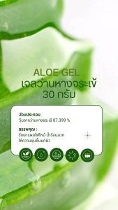 คุณภาพผสมเจลว่านหางจระเข้ PHYTO CARE (30 กรัม/หลอด) แบรนด์แผลไฟไหม้ ถูกบรรเทาน้ำร้อนลวก