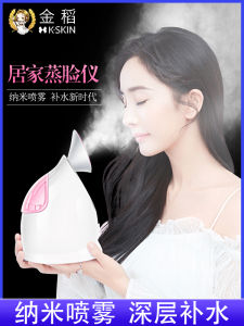Gold Rice Beauty Facial Steamer Nano Spray Moisturizer Detoxifying Humidifier Home Use Skin Care Device Quick Fogging