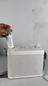 Wireless Bluetooth Speaker with 2pcs Portable Wireless Mini Microphone for Karaoke