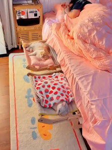 Lovinland Cat Bed Window Perch Sturdy Hammock Window Seat Wood & Metal Frame for Large Cats Easy to Adjust Cat Bed for Windowsill Bedside Drawer and Cabinet