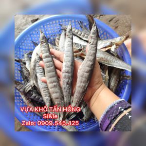 [500gr] CHẠCH ĐẠI TRUNG SIZE 85/90con/kýGIÁ TẬN XƯỞNG