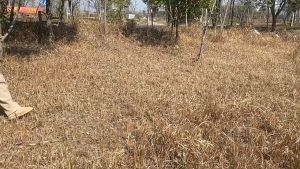 Ghế Cắm Trại Dã Ngoại Du Lịch Ghế Xếp Gấp Gọn Câu Cá Tựa Lưng Thư Giãn Chịu Lực Đến 130kg Túi Đựng Phù Hợp Đi Phượt Thương Hiệu TMountain - GCC3