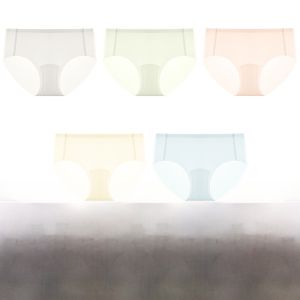 PIER N°5 | Ultra-Thin Breathable Ice-Silk Womens Underwear Pure Cotton Antibacterial Crotch Briefs Seamless Comfortable Mid-Waist Briefs