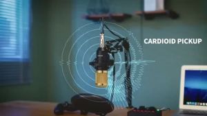 LIVE BROADCAST EQUIPMENT: Adjustable Arm Stand BM-800 Condenser Microphone Bundle with V8 Sound Card