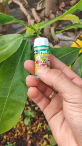 PHÂN BÓN LÁ HỮU CƠ SINH HỌC ROOTS 2 (100ML) - CÔNG TY THIÊN ĐỨC - Hàng Hiệu Chính Hãng