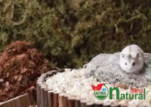 pasir hamster wangi anti bakteri