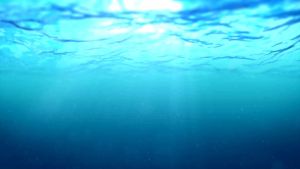 Cuddleme FLOSWIM (S) BAJU RENANG PELAMPUNG Praktis Anti Tenggelam Cuddle Me