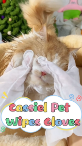 Cassiel Pet Sarung Tangan Pembersih Hewan Sekali Pakai - Atasi Kotor/Lemak Tanpa Air & Shampo