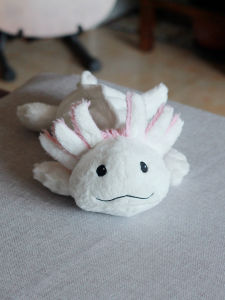 Đồ Chơi Khủng Long Hình Sò Điệp Mùi Hoa Oải Hương Có Thể Đun Sôi Quà Tặng Nhỏ Cho Phụ Nữ Đồ Chơi Bằng Vải PP Đồ Chơi Cho Mọi Lứa Tuổi