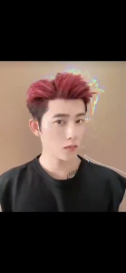 Original Temporary Hair Dye Cream Mild And Does Not Damage The Hair Diy Hair Mud Suitable For Men And Women To Dye Hair Easy To Color Washable Fluffy Hair Long-Lasting Fragrance Suitable For Parties And Dates 100g Hair Dye Cream