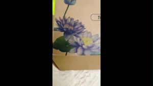 Trà Định Áp - Thảo Mộc Sài Thành - Trà giảm huyết áp giúp ngủ sâu an giấc an thần 100% Tự Nhiên