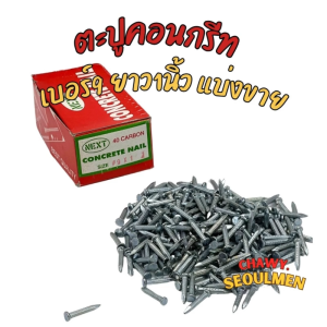 ตะปูคอนกรีต แบ่งขาย 100กรัม เบอร์9 ยาว1นิ้ว ตะปูคอนกรีท