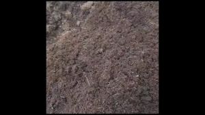 ขุยมะพร้าว ชนิด Treat แล้ว 1 กระสอบ/17กก.