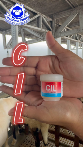 Cil cil obat Cacar luka hewan - salep obat luka ayam sapi kambing domba kelinci kucing ajing dll medion
