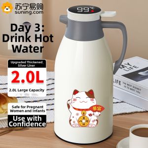 CrossOver | Large Capacity Insulated Water Kettle New 2025 Home Use Tea Kettle Hot Water Bottle Glass Material Long Lasting Insulation