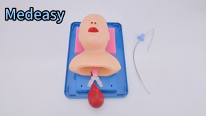 Neonatal Tracheal Intubation Training Model Newborn Endotracheal Intubation Manikin
