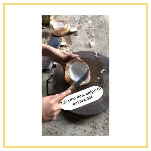 Dao lấy cơm dừa nạo cùi dừa và lóc cái dừa non chất liệu nhíp ô tô