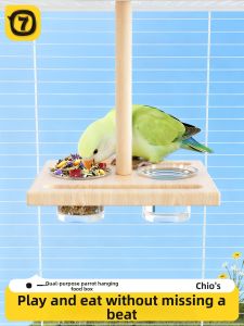 7o | Splash-Preventing Bird Feeding Station
