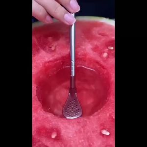 Nipiin Filter Straw Spoon Food Grade Stainless Steel Reusable Long Handle Stirrer for Boba Tea