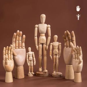 Sketch Drawing Mannequin Model Wooden Hand Model Human Artist Models Flexible Jointed Hand 5.5-12 Inches Tall Movable Limbs