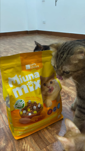 thức ăn hạt MIUNA MIX topping thịt sấy gà tôm trứng dành cho mèo - T3 PETS SHOP