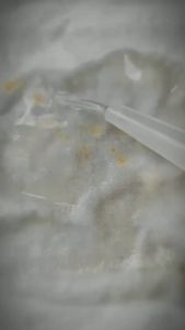 nước tẩy rỉ sét trên vải rust go