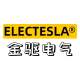 Electesla Factory Store